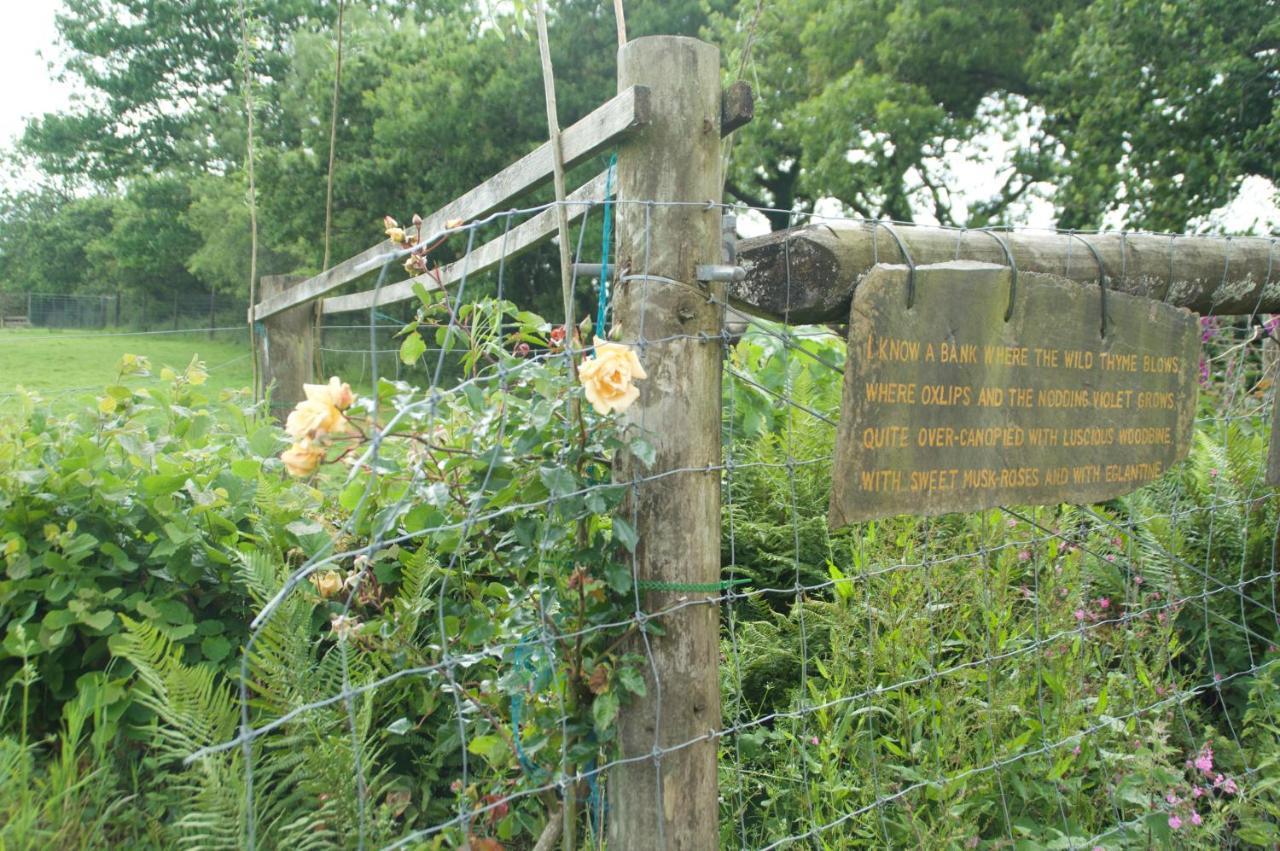 The Old Deer House Bed and Breakfast Bodmin Εξωτερικό φωτογραφία