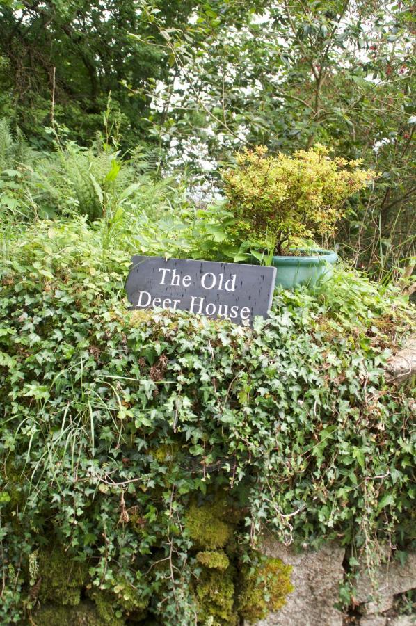 The Old Deer House Bed and Breakfast Bodmin Εξωτερικό φωτογραφία